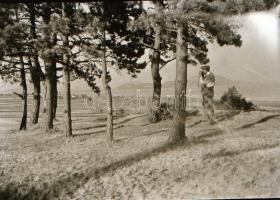 cca 1945 előtt, különféle időpontokban és eltérő helyszíneken készült, 111 db vintage negatív, válto...