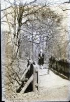 cca 1945 előtt, különféle időpontokban és eltérő helyszíneken készült, 111 db vintage negatív, válto...