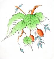 Herendi csipkebogyó mintás áttört kínáló, kézzel festett, jelzett, hibátlan. d: 22 cm, m: 8 cm