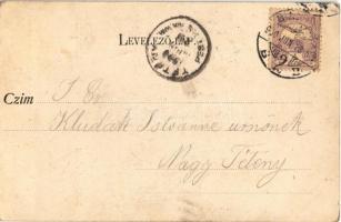 1900 Budapest XII. Svábhegyi részlet. Divald Károly 257. sz. (fl)