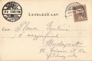 1900 Esztergom, Bazilika. Esztergomi lapok nyomdája, Hunnia könyvnyomda kiadása