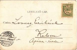 1903 Szentendre, Fő tér, Pálfy János üzlete és saját kiadása  (EK)