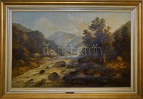 F.L. Gamerith (?-?): Hegyvidéki romantikus táj, 1900 körül. Olaj, vászon, jelzett, enyhén sérült fa ...