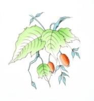 Herendi csipkebogyó mintás mély/ leveses tányér, kézzel festett, jelzett, hibátlan. d: 24,5 cm