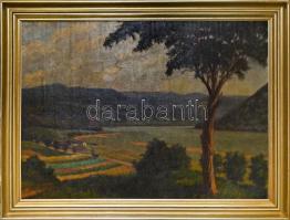 Megyer Meyer Antal (1883-1948): Dunakanyar. Olaj, karton, jelzett, fa keretben, 69,5x96 cm