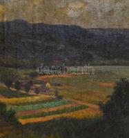 Megyer Meyer Antal (1883-1948): Dunakanyar. Olaj, karton, jelzett, fa keretben, 69,5x96 cm