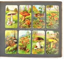 Stühmer Növénytani képek 2 füzete: Gombák, hiányos, benne 32 db litho gyűjtői kártyával; Gyógynövény...