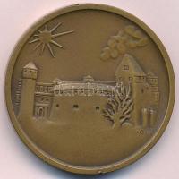 Csúcs Ferenc (1905-1999) 1969. "Budapesti Éremgyűjtők Egyesülete" kétoldalas Br emlékérem ...