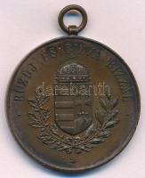 1911. "Budapesti Középiskolák Intézeti Versenye / Küzdj és bízva bízzál" Br emlékérem füll...