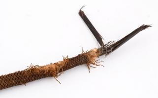 cca 1910-35 Lovaglópálca és kutyaostor tétel, össz. 3 db: 1 db nád, felső részé bőr borítással, ezüs...