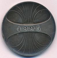1995. "Műszaki és Természettudományi Egyesületek Szövetsége" ezüstözött Br emlékérem (40mm...