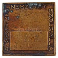 Törzsök Károly (1906-1964) 1946. "PETŐFI ÉREM / A SPORTOLÓ NEMZETÉT SZOLGÁLJA" Br emlékére...