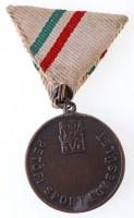 Törzsök Károly (1906-1964) 1946. "PETŐFI SPORTEGYESÜLET" Br emlékérem mellszalaggal (39mm)...