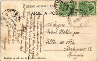 1908 Montevideo, Vista del Prado / park. Editor A. Carluccio No. 10.  (EK)