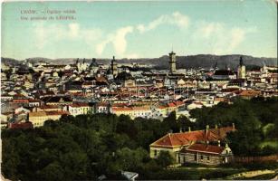 1911 Lviv, Lwów, Lemberg; Ogólny widok / general view (EK)