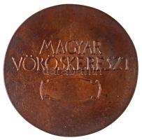 Asszonyi Tamás (1942-) DN "Családvédelemért / Magyar Vöröskereszt" Br emlékérem (94mm) T:2