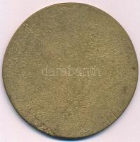 1936. "Mérnökök Vándorgyűlése" Br emlékérem (68mm) T:2
