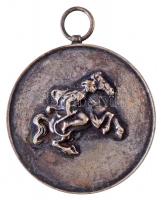 1935. Vágtató lovas alakot ábrázoló ezüstözött Br emlékérem, hátoldalon gravírozva Országos Mezőg. Kiállítás 1935 (41mm) T:2