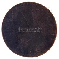 1983. "MTV (Magyar Televízió)" egyoldalas Br plakett (77mm) T:2