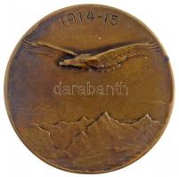 1915. 1914-1915 Br repülős emlékérem Huguenin gyártói jelzéssel (53g/50mm) T:2- / Hungary 1915. 1914-1915 Br commemorative medallion with Huguenin makers mark (53g/50mm) C:VF