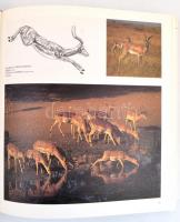 Nagy vadászkönyv. Szerk.: Papp Márió. Bp.,[1992], Geoholding-SKO. Kiadói kartonált papírkötés, jó ál...