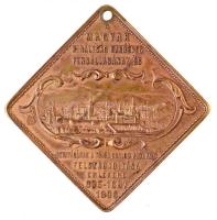 1896. "I. Lipót - I. Ferenc József - Árpád - 1687 - 1896 - 895 / A Magyar Királyság ezeréves fe...