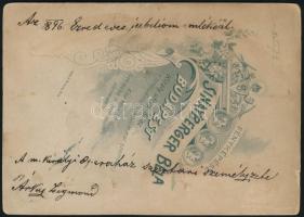 1896 A M. K. Operaház szertári személyzete, fotó, kartonon, elején Wildt Lajos ás Árvay (?) Zsigmond...