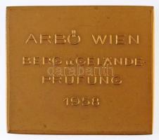 Ausztria 1958. "ARBÖ Bécs hegyi terepteszt 1958" aranyozott Br motorsport plakett (56x48mm...