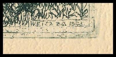 Weisz Zsuzsa (1925-?): Szigliget. Rézkarc, papír, jelzett a karcon, 11,5×19 cm