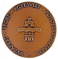 Madarassy Walter (1909-1994) DN "Budapest Sport Egyesület Fotószakosztálya" bronzozott fém...