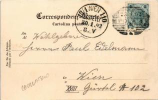 1902 Pola, Kriegshafen. K.u.K. Kriegsmarine. Verlag F. W. Schrinner. Phot. Alois Beer / Austro-Hunga...