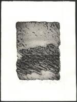 Victor Roman (?-?): 1986. Tasiszta kompozíció. Szitanyomat, papír, jelzett, számozott (46/50), enyhén hullámos 32,5×24,5 cm