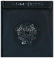 1981. "Naptár / Űrrepülés" sárgaréz bélyegérem ÁPV műanyag tokban (22x37mm) T:1 (PP)