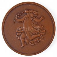 DN "Ady Endre 1877-1919" kétoldalas Br emlékérem (60mm) T:1- 
Hungary "Endre Ady 187...