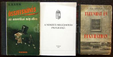 Vas Zoltán: 16 év fegyházban, A nemzeti megújhodás programja, A Kahn: Összeesküvés az amerikai nép ellen
