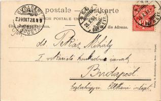 1899 Bern, Länggasse, Anatomic, Chemic, Physiologisches Institut