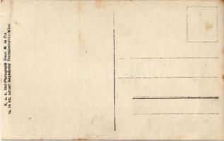 Trencsénteplic, Trencianske Teplice; Hölgyek gyerekkel / ladies with kid in the park. K.u.K. Hof-Pho...