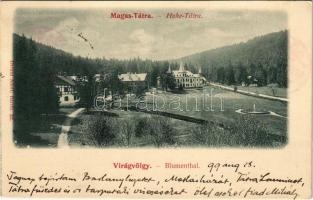1899 Tátra, Tatry; Virágvölgy, Blumental, Kvetnica; szálloda, nyaraló. Divald Adolf, Bártfa 32. / hotel, villa