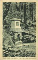 1914 Kőrösmező, Yasinia, Jassinja, Jasina (Máramaros); Tisza folyó eredete forrás. Berger Miksa kiadása / river source spring