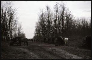 cca 1940 36 db budapesti, városképes Leicával készített fotónegatív nagyrészt a fiumei úti Nemzeti S...