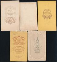cca 1860-1880 Rozsnyó, Ungvár, Pest, Nagybecskerek magyar dámák, úriasszonyok 5 db vizitkártya