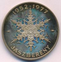 1977. "25 éves a Lehel hűtőgépgyár / 1952-1977 Jászberény" Ag emlékérem (43,20g/0.835/42,5...
