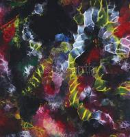 Korniss jelzéssel: A színek játéka tükörképben I. Olaj, farost, hátoldalán jelzett, fa keretben, 27x...