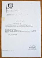 Pintér István Pál (1948-): Virágcsendélet. Olaj, farost, jelzett, díszes fa keretben, hátoldalán Kép...