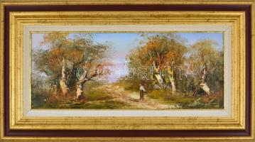 Bocsák Krisztina (1964- ): Hazafelé. Olaj, farost, jelzett, díszes fa keretben, hátoldalán címkével,...