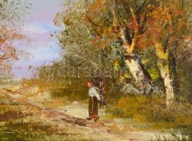 Bocsák Krisztina (1964- ): Hazafelé. Olaj, farost, jelzett, díszes fa keretben, hátoldalán címkével,...