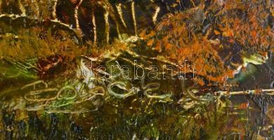 Bocsák Krisztina (1964- ): Hazafelé. Olaj, farost, jelzett, díszes fa keretben, hátoldalán címkével,...