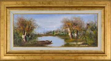 Bocsák Krisztina (1964- ): Ladik. Olaj, farost, jelzett, díszes fa keretben, hátoldalán címkével, 20...