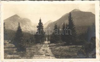 Tátra, Magas-Tátra, Vysoké Tatry; Miynická dolina, Solisko, Strbsky stít, Patria / Malompataki-völgy, Szoliszkó, Csorbai-csúcs, Patria / mountain peaks, road, valley. J. Ossko 6028. (fl)