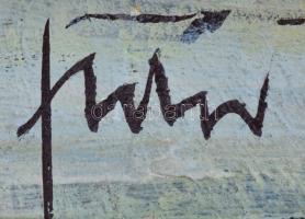 Fodor József (1935-2007): Kacsaúsztató. Olaj, farost, jelzett, fa keretben, hátoldalán a művész auto...